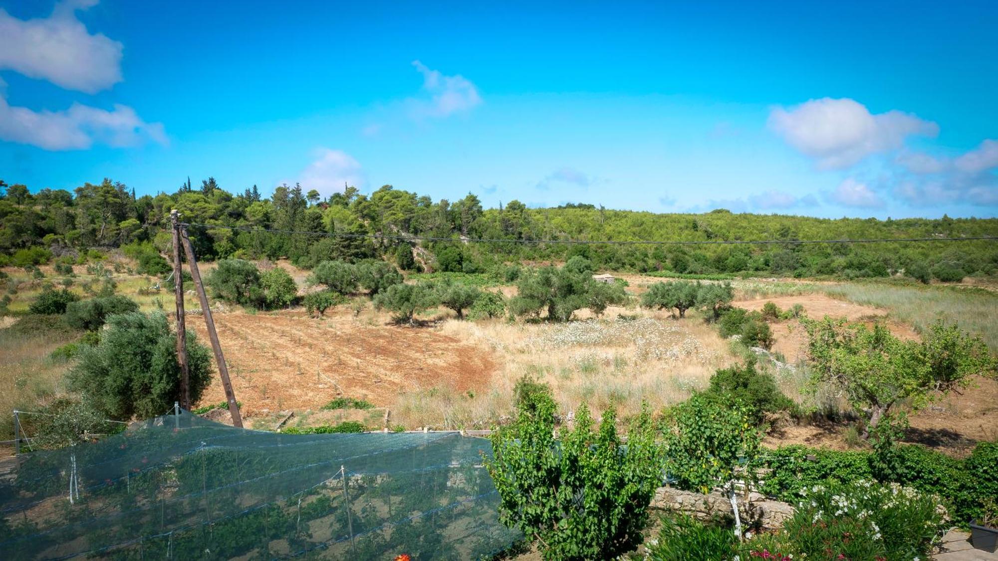 Fterini Apartments Sterna & Alletri Agios Leon Экстерьер фото