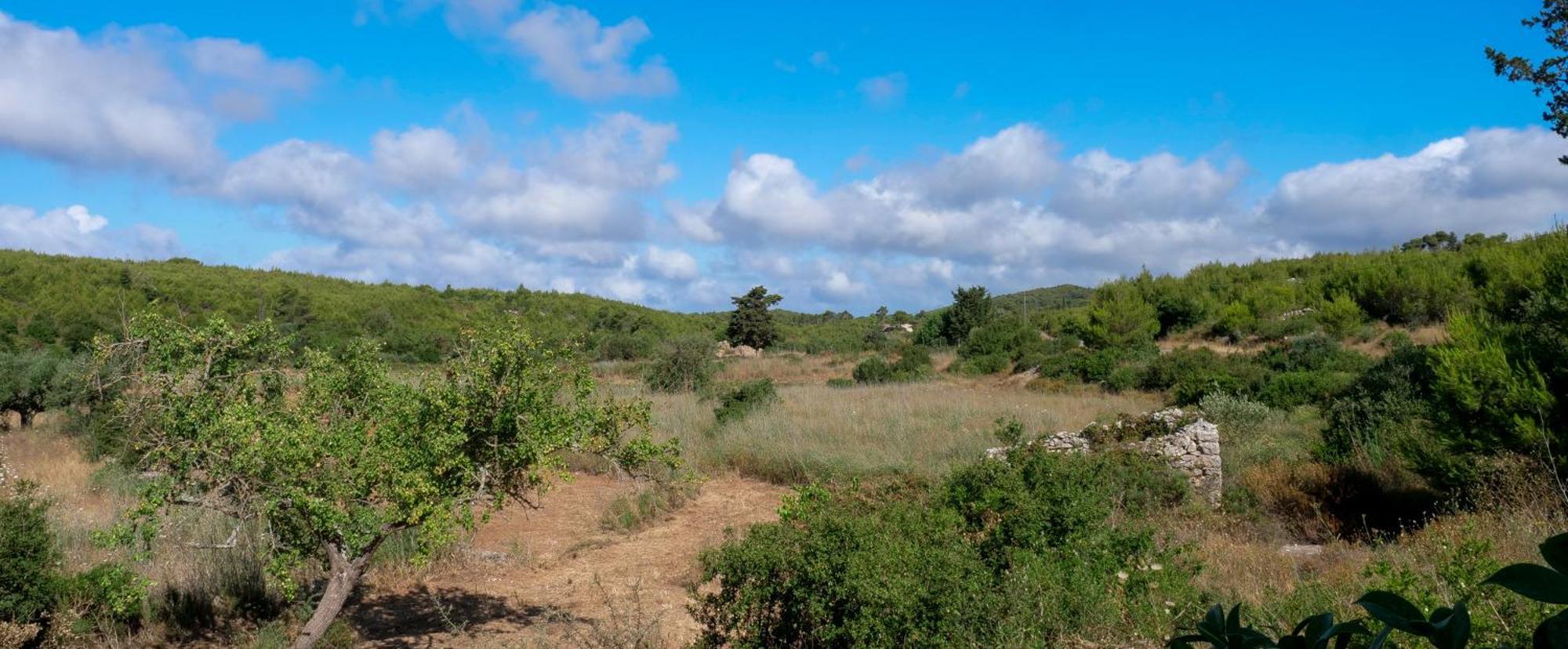 Fterini Apartments Sterna & Alletri Agios Leon Экстерьер фото