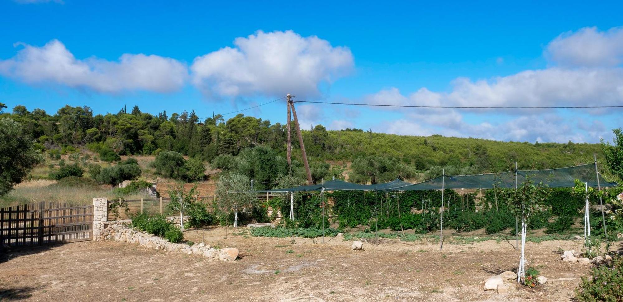 Fterini Apartments Sterna & Alletri Agios Leon Экстерьер фото